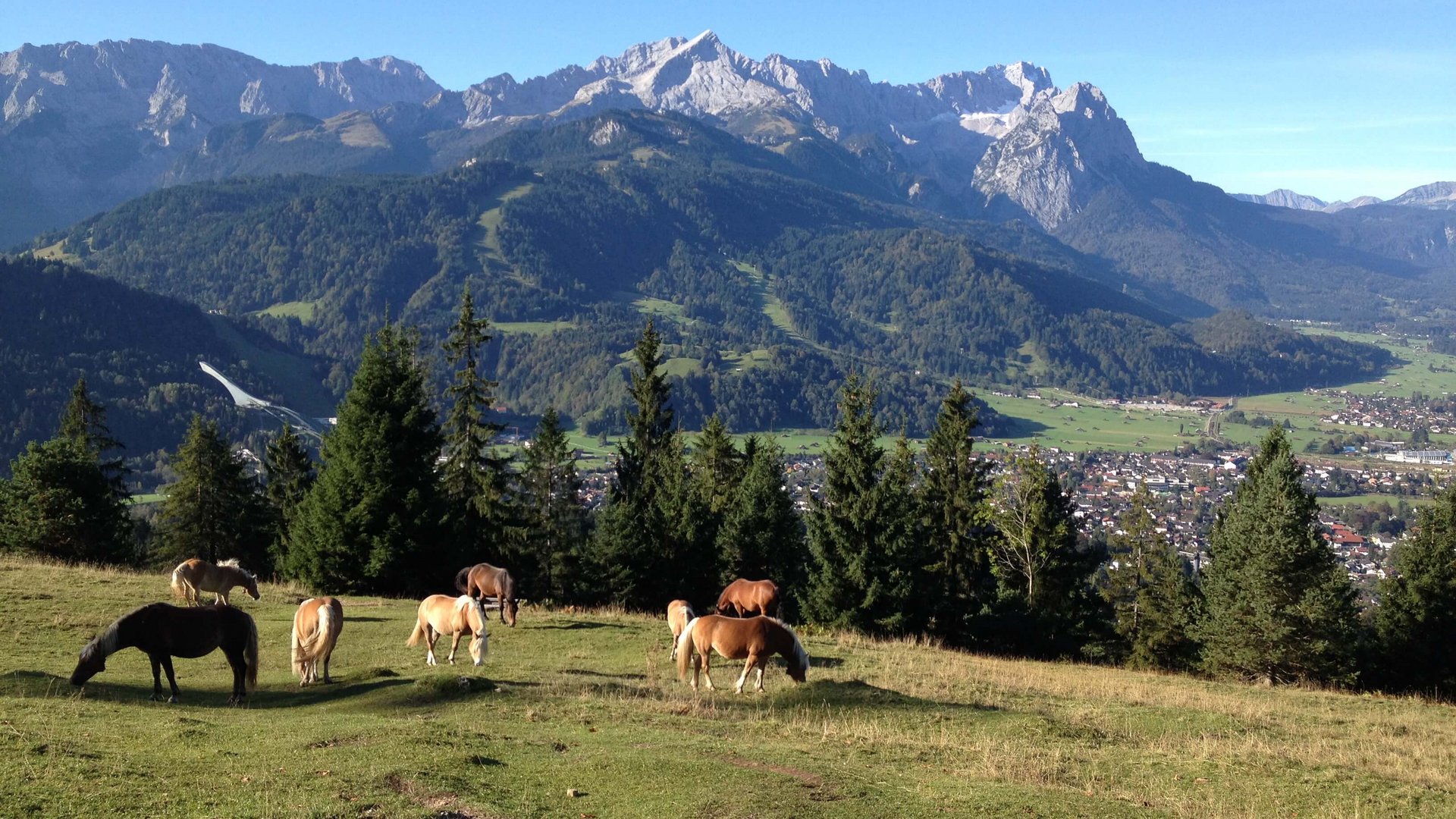 Kinderfreundliches Wellnesshotel in Bayern gesucht? Kinderfreundliches Wellnesshotel in Bayern gesucht?