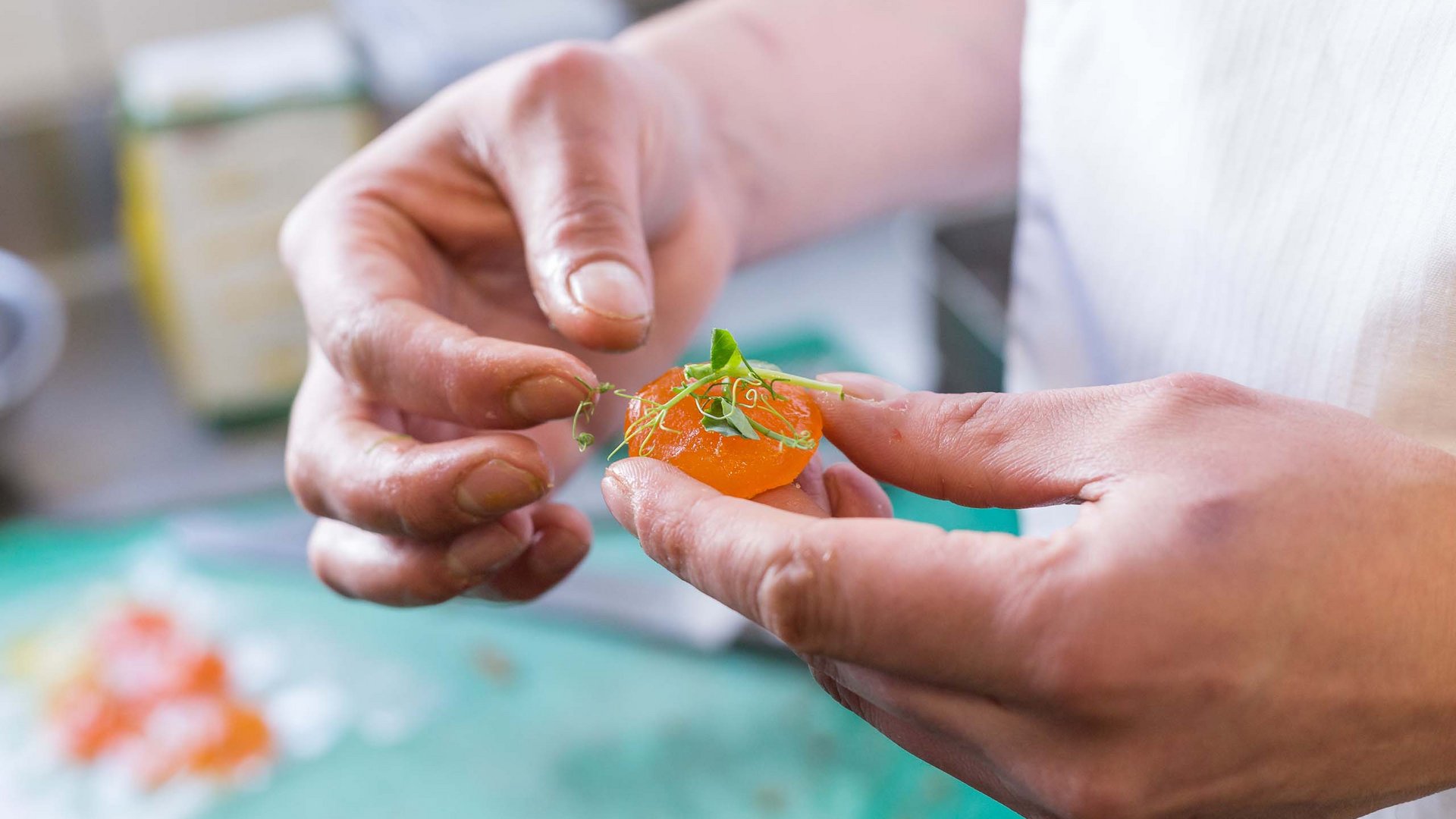 Ihr Boutique-Hotel in Süddeutschland Ihr Boutique-Hotel in Süddeutschland